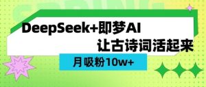 用DeepSeek做AI 古诗词视频，涨粉 10W+(保姆级教程)_网创资源库