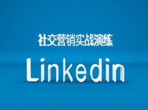 社交营销实战演练之Linkedin营销课程，B2B跨境外贸的新出路_网创资源库
