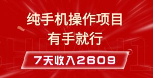 纯手机操作的小项目，有手就能做，7天收入2609+实操教程【揭秘】_网创资源库