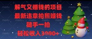 解气又挣钱的项目，最新违章拍照挣钱，随手一拍，轻松收入多张【揭秘】_网创资源库