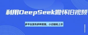 利用DeepSeek做怀旧视频，流量号多渠道变现能力强_网创资源库