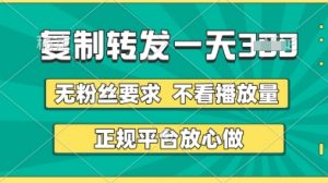 转发视频一天3张+，正规平台放心做，不看播放量，无粉丝要求，随时随地挣收益【揭秘】_网创资源库