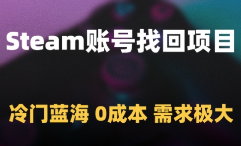 Steam账号找回项目，冷门蓝海，0成本，需求极大_网创资源库