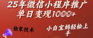 25年微信小程序推广单日变现多张，独家技术，小白宝妈轻松上手【揭秘】_网创资源库