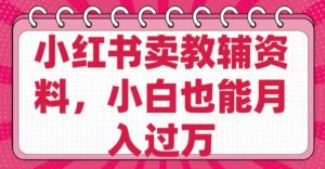 小红书卖教辅资料，0 成本，纯利润，售后成本极低，小白也能月入过W_网创资源库