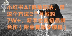 小红书AI商单玩法，用这个方法2个月涨粉7W+，新手也能接品牌合作(附全套指令模板)_网创资源库