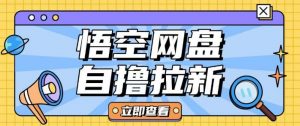 全网首发悟空网盘云真机自撸拉新项目玩法单机可挣10.20不等_网创资源库