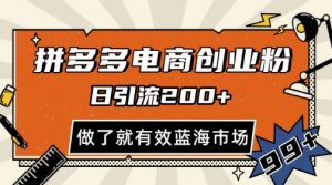 拼多多引流电商创业粉，日引200+，可矩阵放大，做了就有效【揭秘】_网创资源库