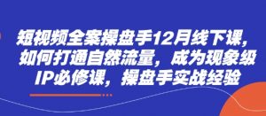 短视频全案操盘手12月线下课，如何打通自然流量，成为现象级IP必修课，操盘手实战经验_网创资源库