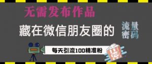 藏在微信朋友圈的流量密码，无需发布作品，单日引流100+精准创业粉【揭秘】_网创资源库