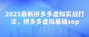 2025最新拼多多虚拟实战打法，拼多多虚拟基础sop_网创资源库