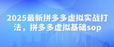 2025最新拼多多虚拟实战打法，拼多多虚拟基础sop_网创资源库