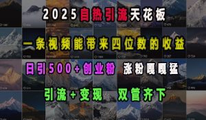 2025自热引流天花板，一条视频能带来四位数的收益，引流+变现双管齐下，日引500+创业粉，涨粉嘎嘎猛_网创资源库