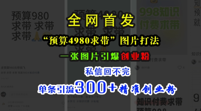 小红书“预算4980带我飞”图片打法，一张图片引爆创业粉，私信回不完，单条引流300+精准创业粉_网创资源库