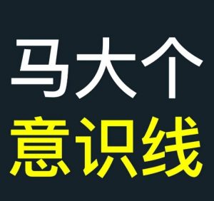 马大个意识线，一门改变人生意识的课程，讲解什么是能力线什么是意识线_网创资源库