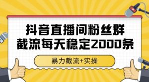 抖音直播间粉丝群暴力截流，一台电脑每天稳定2000条数据，暴力截流+实操 【揭秘】_网创资源库