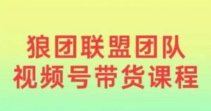 狼团联盟2024视频号带货，0基础小白快速入局视频号_网创资源库