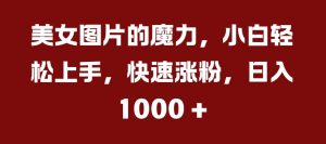 美女图片的魔力，小白轻松上手，快速涨粉，日入几张【揭秘】_网创资源库