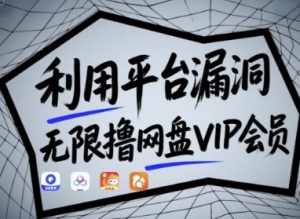 利用平台漏洞，无限撸网盘VIP会员，用户亲测有效!【漏洞原理+操作演示】_网创资源库