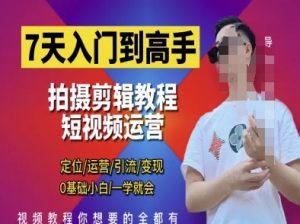 7天入门到高手，短视频剪辑运营高手课，定位 运营 引|流 变现，0基础小白一学就会_网创资源库