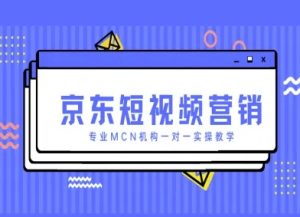京东短视频营销项目，专业MCN机构一对一实操教学_网创资源库