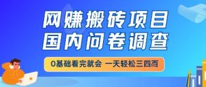 网创搬砖项目，国内问卷调查，小白轻松上手，一天三四张的也不难，干就完了【揭秘】_网创资源库