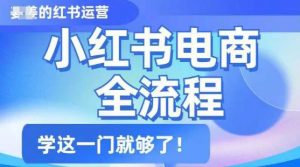 小红书电商全流程，精简易懂，从入门到精通，学这一门就够了_网创资源库