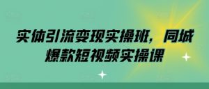 实体引流变现实操班，同城爆款短视频实操课_网创资源库