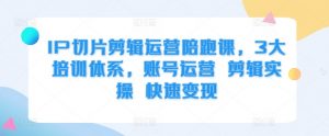 IP切片剪辑运营陪跑课，3大培训体系，账号运营 剪辑实操 快速变现_网创资源库