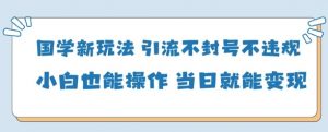 国学新玩法，引流不封号不违规小白也能操作，当日就能变现_网创资源库