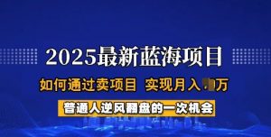 2025蓝海项目，普通人如何通过卖项目，实现月入过W，全过程【揭秘】_网创资源库