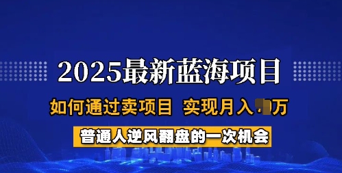 2025蓝海项目，普通人如何通过卖项目，实现月入过W，全过程【揭秘】_网创资源库