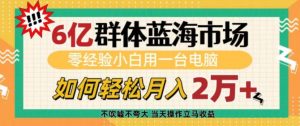 6亿群体蓝海市场，零经验小白用一台电脑，如何轻松月入过w【揭秘】_网创资源库