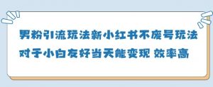男粉引流玩法(新)，玩法友好做的好当天就能变现_网创资源库