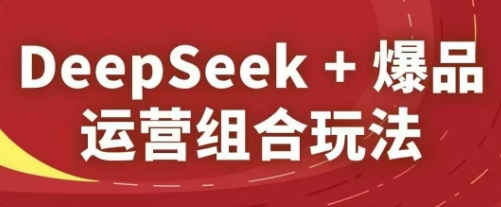 DeepSeek+爆品运营组合玩法，2025淘系精品课_网创资源库