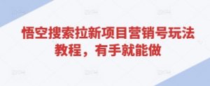 悟空搜索拉新项目营销号玩法教程，有手就能做_网创资源库