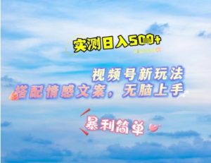 微信视频号最新玩法，表情包搭配情感文案，2分钟一条原创作品，简单好上手，轻松日入几张_网创资源库