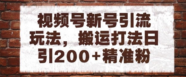 视频号新号引流玩法，搬运打法日引200+精准粉，可矩阵放大【揭秘】_网创资源库