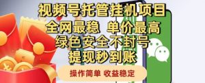 视频号托管挂G项目全网最稳，单价最高，绿色安全不封号提现秒到账，操作简单，收益稳定【揭秘】_网创资源库