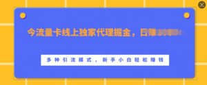 流量卡线上独家代理掘金，日入1k+ ，多种引流模式，新手小白轻松上手【揭秘】_网创资源库