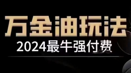 2024最牛强付费，万金油强付费玩法，干货满满，全程实操起飞（更新25年04月）_网创资源库