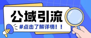 全公域平台，引流创业粉自热模版玩法，号称日引500+创业粉可矩阵操作_网创资源库