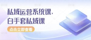 私域运营系统课，白手套私域课_网创资源库