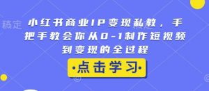 小红书商业IP变现私教，手把手教会你从0-1制作短视频到变现的全过程_网创资源库