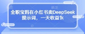 全职宝妈在小红书卖DeepSeek提示词，一天收益1k_网创资源库