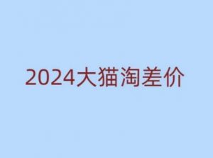 2024版大猫淘差价课程，新手也能学的无货源电商课程_网创资源库