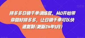 拼多多日销千单训练营，从0开始带你做好拼多多，让日销千单可以快速复制(更新24年10月)_网创资源库