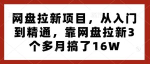 网盘拉新项目，从入门到精通，靠网盘拉新3个多月搞了16W_网创资源库