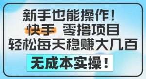 新手也能操作，快手零撸挣米，轻松每天挣2-5张，完全无成本_网创资源库