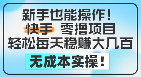 新手也能操作，快手零撸挣米，轻松每天挣2-5张，完全无成本_网创资源库